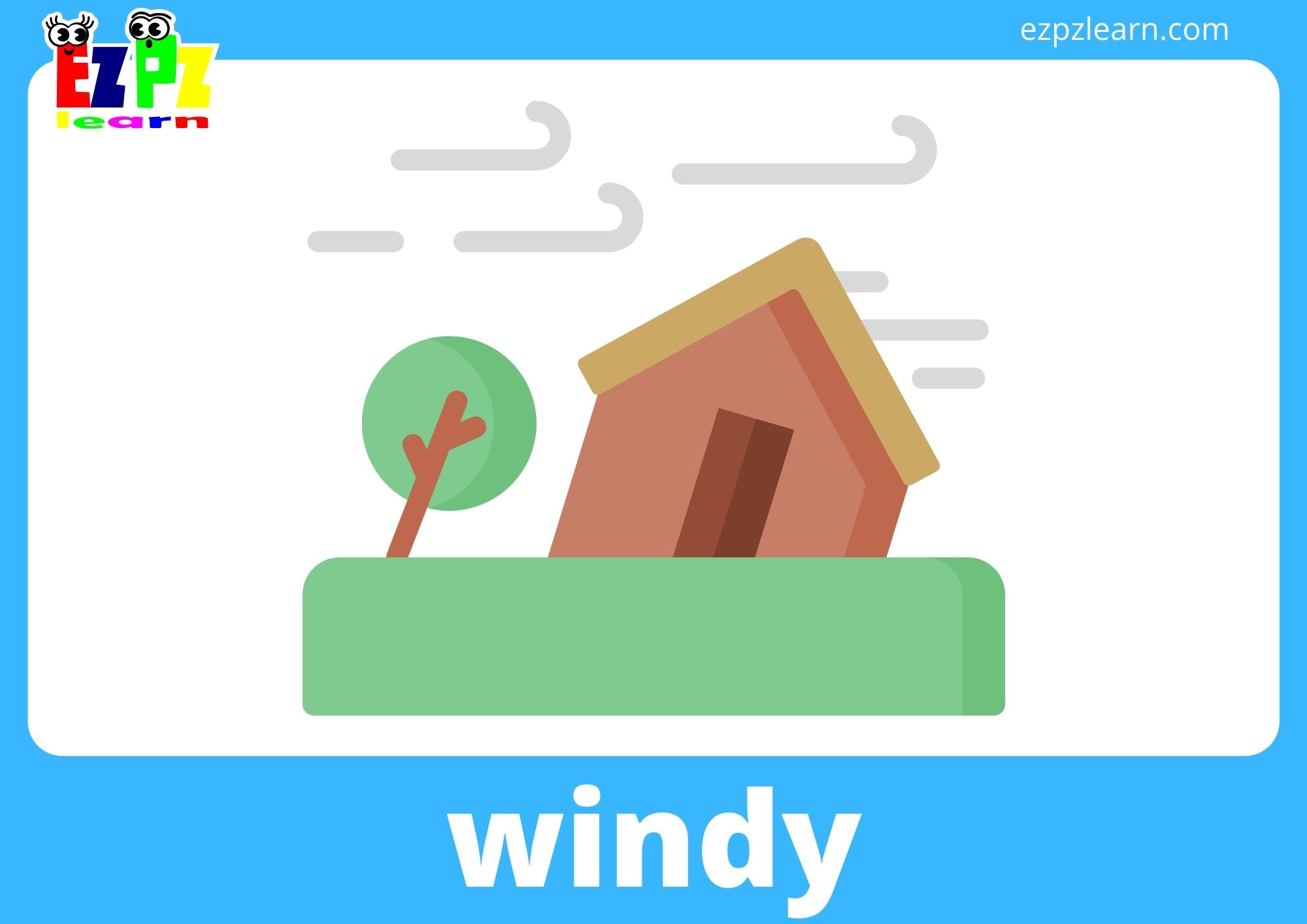windy